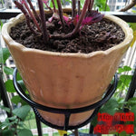 Balcony Flower Rack Hanging Railing Windowsill Single Flower Rack Protective Fence Hanging Flower Pot Indoor Shelf Decoration Shelf Hanging Blue-green Basket Flower Rack Large Single Black