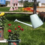 High Quality Fleshy Watering Pot Green Plant Potted Watering Pot Fertilizing Pot Transparent Plant Vegetable Watering Pot Stainless Steel Long Nozzle