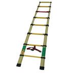3m Fishing Rod Ladder Telescopic ladder Thickened and Double Fixed