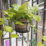 Balcony Hanging Flower Rack, Iron Railing, Guardrail, Windowsill, Green Rose Hanging Orchid Flower Pot Hanger, Black Thickened Mesh Plate, Three Sets