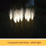 Warm Light LED Optical Fiber Reed Lamp Simulation Reed Lamp Lawn Landscape Lamp Outdoor Courtyard Lighting Project Luminous Plant Solar Energy Fund