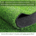 2.5cm Spring Grass Double Layer Simulated Lawn Mat False Grass Green Plant Green Artificial Plastic Turf Carpet
