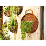 Rattan Wall Hanging Flower Blue Frame Wall Hanging Basket Primary Color Flower Basket